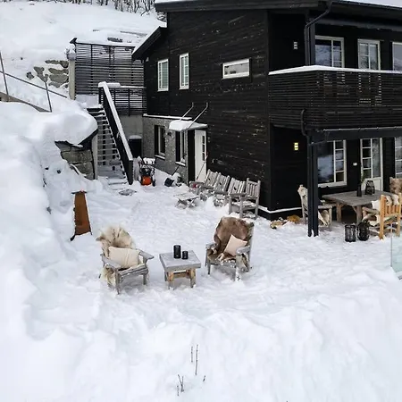 Appartement I Skisenter - Hodlekve