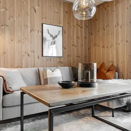 Appartement I Skisenter - Hodlekve